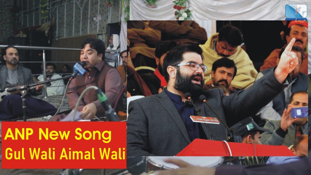 Gul Wali Aimal Wali | ANP New Song