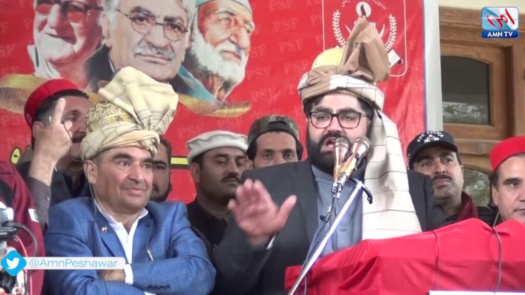 ANP to move court against law on minerals – Aimal Wali Khan